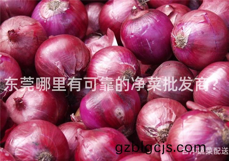 東莞(guan)哪(na)裏(li)有可(ke)靠的淨(jing)菜批髮(fa)商？