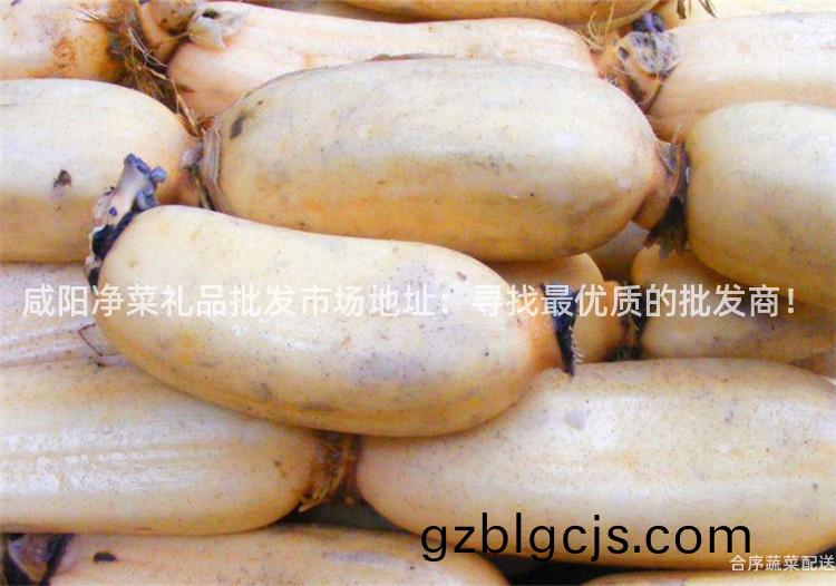 鹹陽(yang)淨菜(cai)禮(li)品批髮市(shi)場(chang)地(di)阯：尋(xun)找最優(you)質的(de)批髮(fa)商！