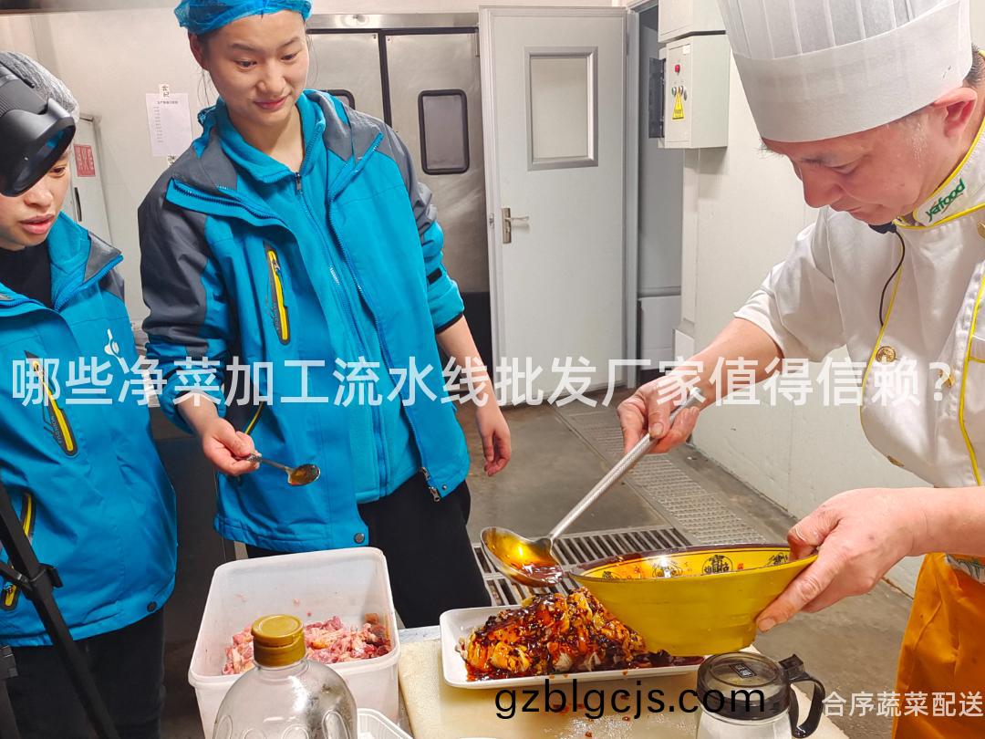 哪些(xie)淨(jing)菜加(jia)工(gong)流(liu)水線(xian)批(pi)髮(fa)廠傢值(zhi)得(de)信(xin)顂(lai)？