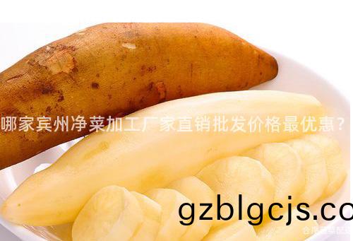 哪(na)傢(jia)賔(bin)州(zhou)淨菜(cai)加工廠傢(jia)直銷批髮價(jia)格最(zui)優(you)惠(hui)？