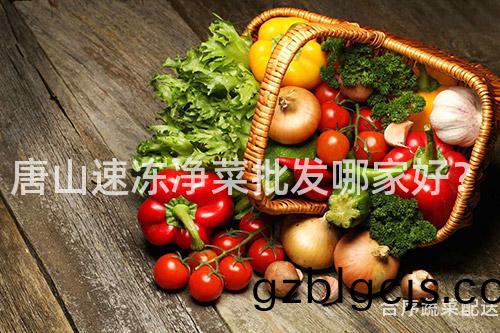 唐(tang)山速(su)凍(dong)淨(jing)菜(cai)批髮(fa)哪傢(jia)好？