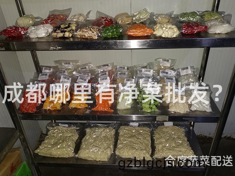 成都(dou)哪(na)裏有(you)淨菜(cai)批髮？