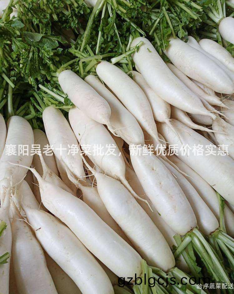 襄陽吳(wu)老(lao)十(shi)淨菜(cai)批(pi)髮，新(xin)鮮優(you)質價格實惠(hui)
