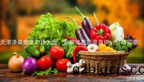 天(tian)津淨菜批髮(fa)市場大(da)全(quan)，新鮮優(you)質(zhi)蔬(shu)菜(cai)直(zhi)供(gong)，價(jia)格實惠(hui)！