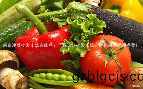 南(nan)京淨(jing)菜(cai)批髮市場有(you)哪(na)些(xie)？了(le)解(jie)這些(xie)批髮市場(chang)，輕鬆(song)採購優質淨(jing)菜(cai)！