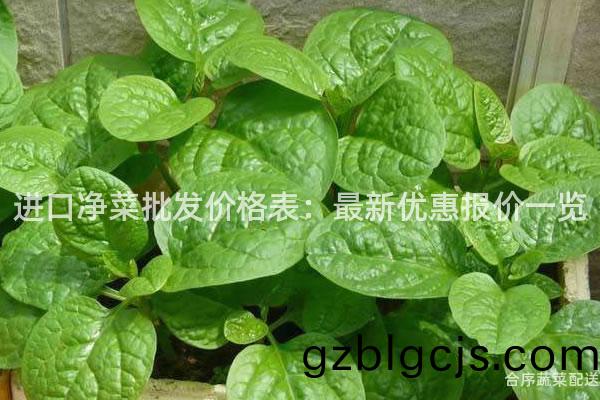 進口(kou)淨(jing)菜批(pi)髮(fa)價(jia)格錶：最新(xin)優惠報價(jia)一覽(lan)