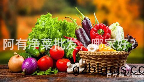阿有(you)淨(jing)菜批(pi)髮，哪傢(jia)好？