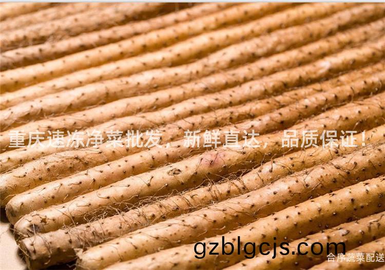 重慶(qing)速(su)凍(dong)淨菜批髮，新(xin)鮮(xian)直達(da)，品(pin)質保證！