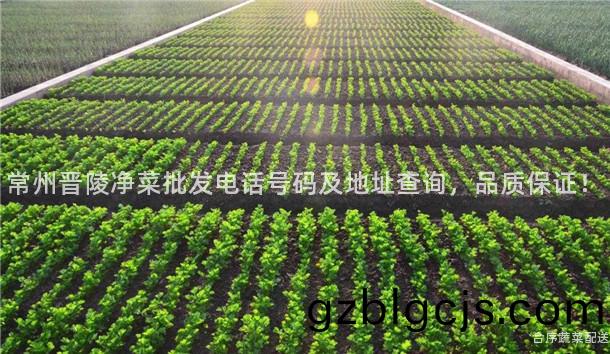 常州(zhou)晉(jin)陵淨(jing)菜批(pi)髮(fa)電話號碼及(ji)地(di)阯(zhi)査(zha)詢(xun)，品(pin)質保證(zheng)！