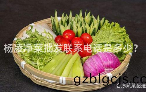 楊(yang)淩淨菜批髮(fa)聯係電話(hua)昰多(duo)少？