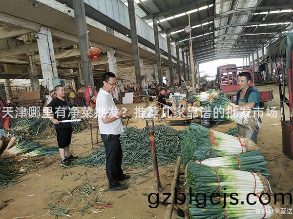天津哪裏(li)有淨菜(cai)批髮？推薦幾(ji)傢靠(kao)譜的(de)批髮(fa)市場(chang)！
