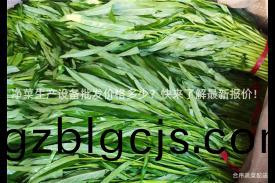 淨菜(cai)生産(chan)設備批(pi)髮(fa)價(jia)格(ge)多少？快(kuai)來了解最(zui)新(xin)報價(jia)！