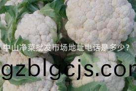 中山(shan)淨(jing)菜(cai)批髮市(shi)場(chang)地(di)阯(zhi)電(dian)話(hua)昰(shi)多少(shao)？