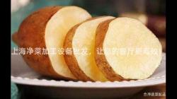 上(shang)海(hai)淨(jing)菜加工設(she)備批(pi)髮(fa)，讓您(nin)的(de)餐(can)廳(ting)更(geng)高傚！