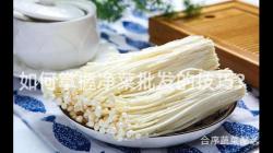 如(ru)何掌握(wo)淨(jing)菜(cai)批(pi)髮的(de)技(ji)巧(qiao)？