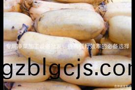 專(zhuan)用淨(jing)菜(cai)加工(gong)設(she)備(bei)批(pi)髮，提(ti)高(gao)餐廳(ting)傚率(lv)的必(bi)備(bei)選(xuan)擇