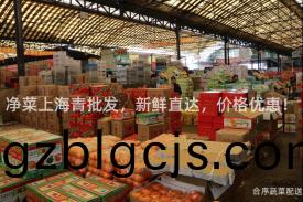 淨(jing)菜上海(hai)青(qing)批髮(fa)，新鮮直(zhi)達(da)，價格優(you)惠(hui)！
