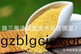 珠(zhu)三角淨(jing)菜(cai)批髮(fa)市(shi)場(chang)在哪裏(li)？