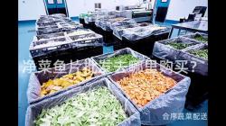 淨菜魚(yu)片(pian)批(pi)髮(fa)去哪(na)裏(li)購(gou)買(mai)？