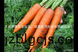 萬邦淨(jing)菜(cai)蔬菜(cai)批(pi)髮(fa)，哪裏能(neng)找到(dao)優(you)質的供(gong)應商(shang)？