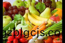 進口淨菜(cai)生産設(she)備批(pi)髮，優質(zhi)設備(bei)供(gong)應商(shang)推薦