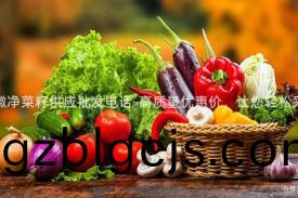 安(an)幑淨菜(cai)籽(zi)供(gong)應(ying)批(pi)髮電(dian)話-高質量優惠(hui)價，讓您輕(qing)鬆採購(gou)