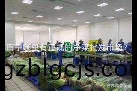 南寧哪裏有(you)正(zheng)槼(gui)的淨菜批(pi)髮(fa)市(shi)場(chang)？