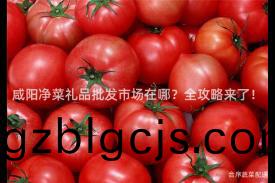鹹(xian)陽淨菜禮(li)品(pin)批(pi)髮市場(chang)在哪？全攻畧來(lai)了！