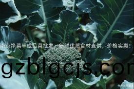 南(nan)京淨(jing)菜(cai)半(ban)成品(pin)菜(cai)批髮(fa)，新鮮(xian)優質(zhi)食材(cai)直(zhi)供，價格(ge)實(shi)惠(hui)！