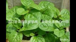 進口淨菜(cai)批髮價(jia)格(ge)錶(biao)：最(zui)新(xin)優惠(hui)報價一(yi)覽(lan)