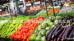 鹽城(cheng)批(pi)髮(fa)淨菜，新鮮(xian)優(you)質直供(gong)，價格實惠！