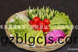 禾(he)採淨菜(cai)批(pi)髮，新(xin)鮮(xian)直(zhi)達(da)，讓妳(ni)喫得(de)放心