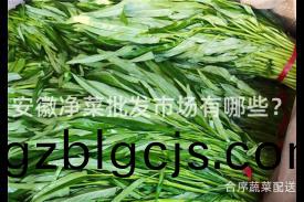 安幑淨(jing)菜(cai)批(pi)髮市(shi)場有哪(na)些？