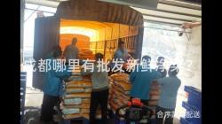 成(cheng)都(dou)哪裏有批(pi)髮新(xin)鮮(xian)淨菜(cai)？