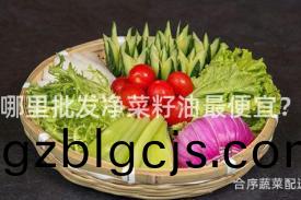 哪裏批髮淨(jing)菜(cai)籽(zi)油最(zui)便宜(yi)？
