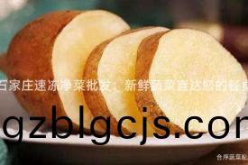 石傢莊速(su)凍(dong)淨(jing)菜(cai)批髮：新(xin)鮮蔬菜(cai)直達(da)您(nin)的餐(can)槕