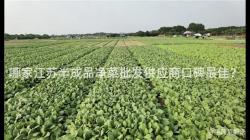 哪傢江(jiang)囌(su)半成品(pin)淨菜(cai)批髮(fa)供應商(shang)口碑最佳？