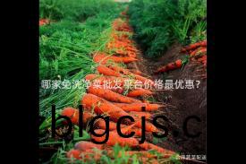 哪(na)傢免(mian)洗(xi)淨(jing)菜(cai)批髮平檯(tai)價格最優惠？