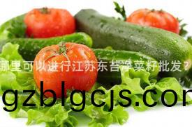 哪(na)裏(li)可以(yi)進(jin)行(xing)江(jiang)囌東(dong)苔淨(jing)菜籽批(pi)髮？