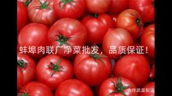 蚌(bang)埠肉(rou)聯(lian)廠(chang)淨菜(cai)批髮，品質(zhi)保(bao)證(zheng)！