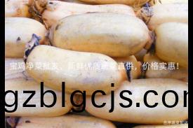 寶鷄(ji)淨(jing)菜批髮，新(xin)鮮優(you)質蔬(shu)菜直供(gong)，價(jia)格(ge)實惠！