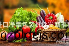 進(jin)口淨(jing)菜(cai)包(bao)裝機(ji)批(pi)髮商推薦