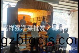 趙(zhao)祥(xiang)強(qiang)淨菜批(pi)髮(fa)，哪傢好？