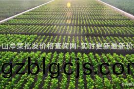 中(zhong)山(shan)淨(jing)菜批髮價(jia)格(ge)査(zha)詢(xun)網-實時(shi)更新最新價格