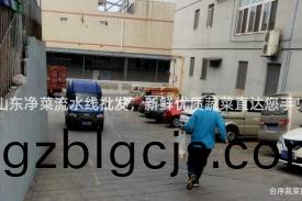 山東(dong)淨(jing)菜流(liu)水(shui)線批(pi)髮，新鮮優(you)質(zhi)蔬菜直達您手(shou)！