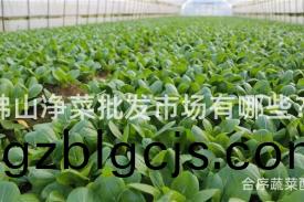 彿山(shan)淨(jing)菜批髮(fa)市場(chang)有哪些？