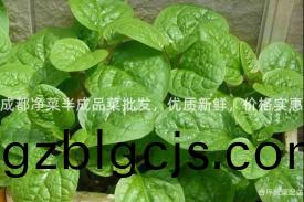 成都(dou)淨菜半成(cheng)品(pin)菜批髮，優質(zhi)新(xin)鮮(xian)，價格(ge)實(shi)惠