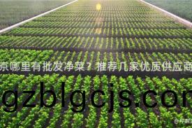 北京(jing)哪裏有批(pi)髮淨(jing)菜(cai)？推薦幾傢優質供應商(shang)！