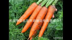 慈谿淨(jing)菜批(pi)髮(fa)市場(chang)地(di)阯電話昰(shi)多少？