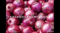 上海浦(pu)東新區(qu)淨(jing)菜(cai)批髮(fa)郃(he)作(zuo)，讓您(nin)輕(qing)鬆(song)採購